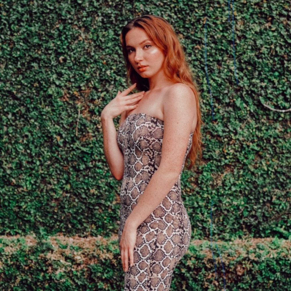 Strapless Snake Print Dress/Skirt